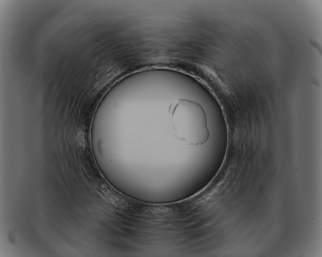 X0000091681209200709131541