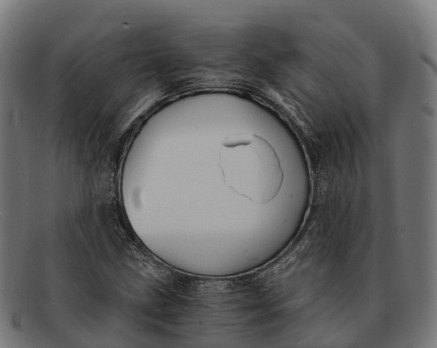 X0000091681211200709131541