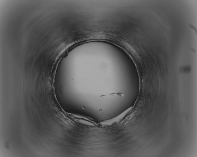 X0000091681212200709131541