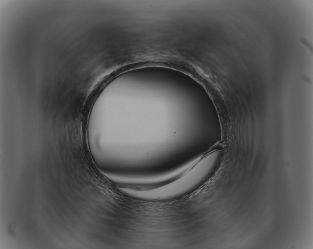 X0000091681214200709131541