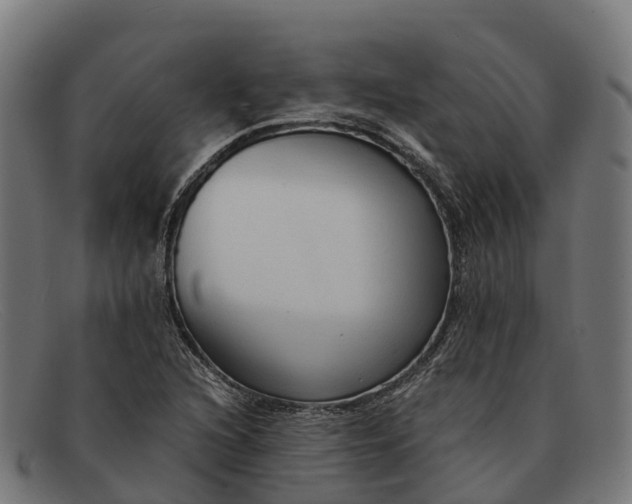 X0000091681216200709131541