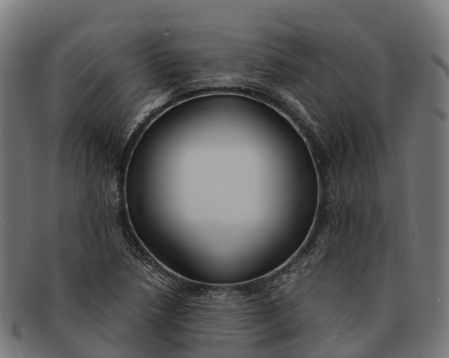 X0000091681218200709131541