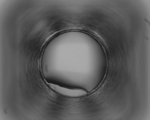 X0000091681220200709131541