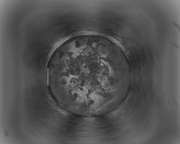 X0000091681223200709131541