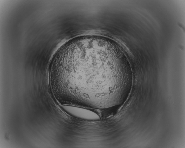 X0000091681224200709131541