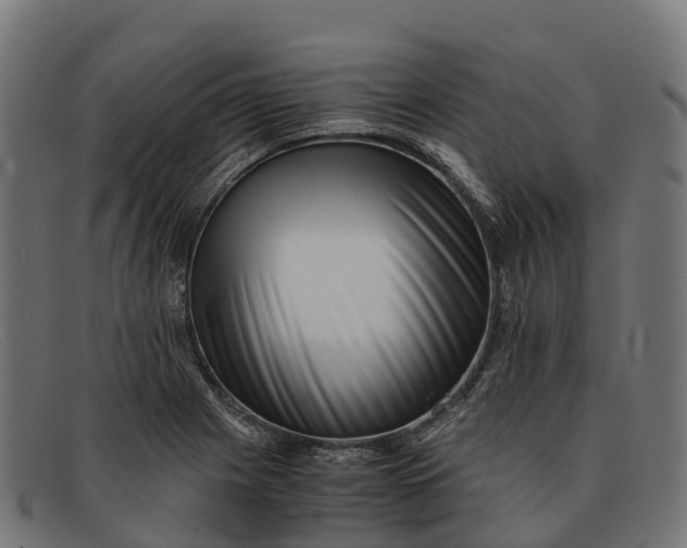 X0000091681225200709131541