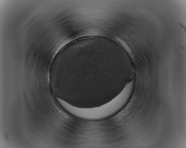 X0000091681226200709131541