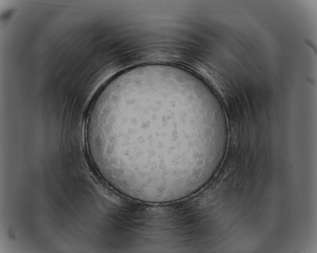 X0000091681227200709131541