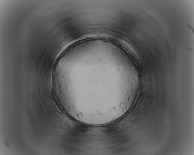 X0000091681228200709131541