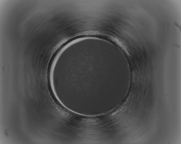 X0000091681229200709131541