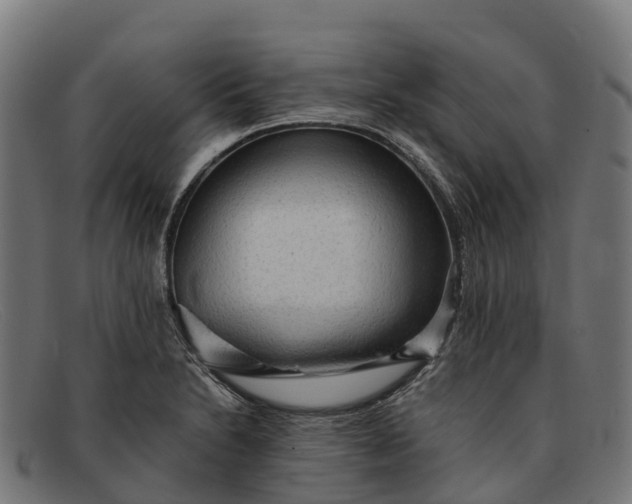 X0000091681230200709131541