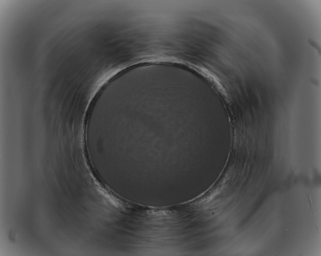 X0000091681231200709131541