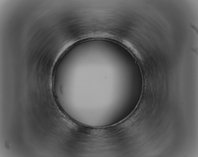 X0000091681232200709131541