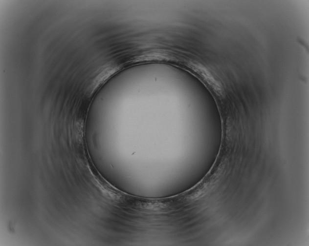 X0000091681233200709131541