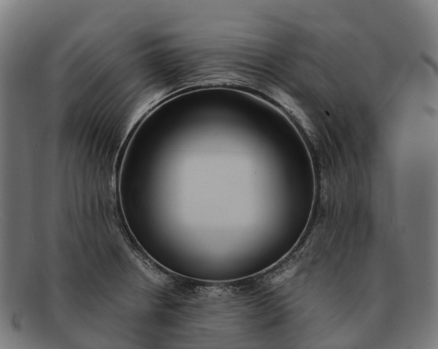 X0000091681234200709131541