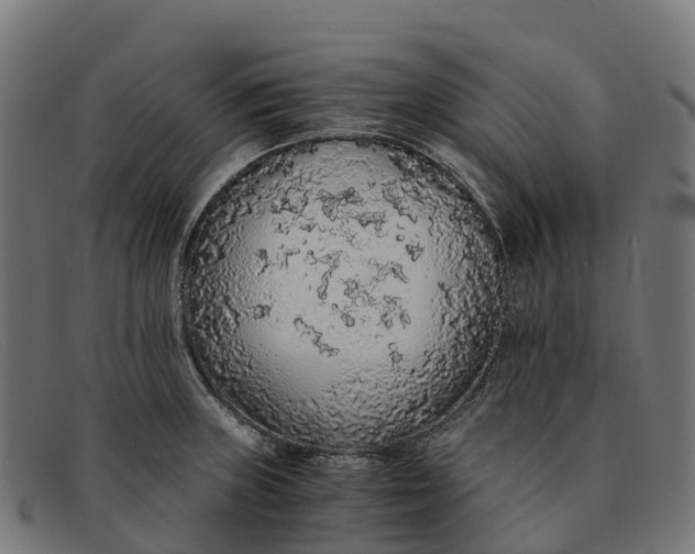 X0000091681235200709131541