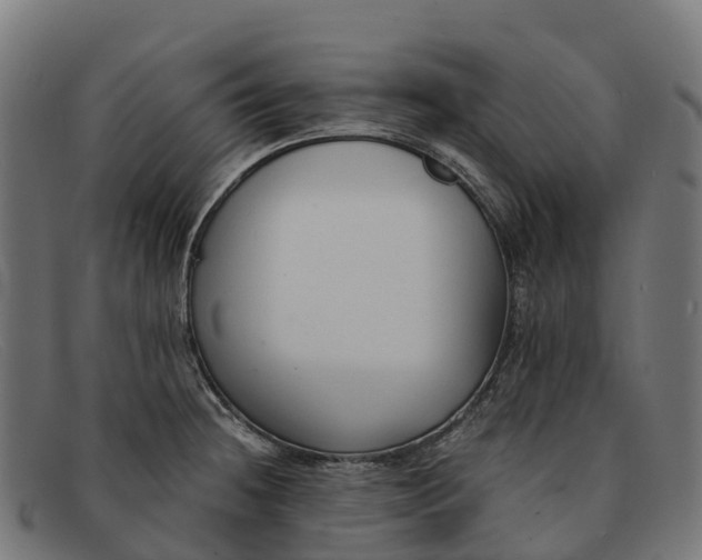 X0000091681236200709131541