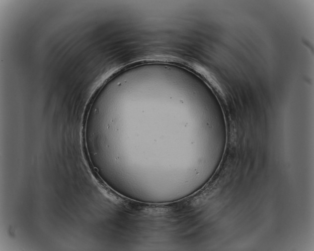 X0000091681237200709131541