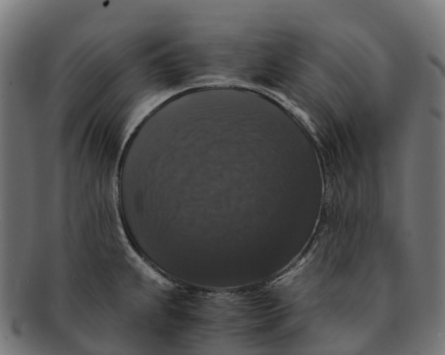 X0000091681239200709131541