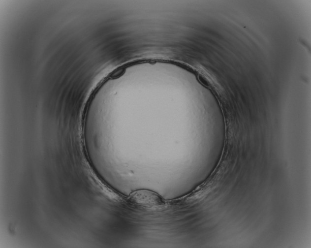 X0000091681240200709131541