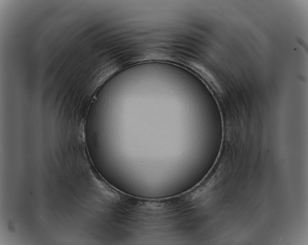 X0000091681241200709131541