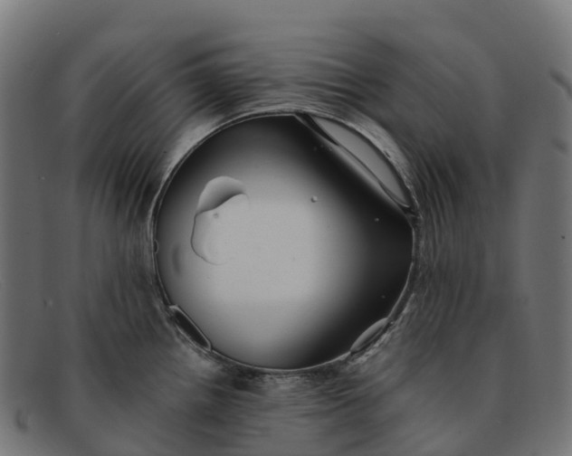 X0000091681242200709131541