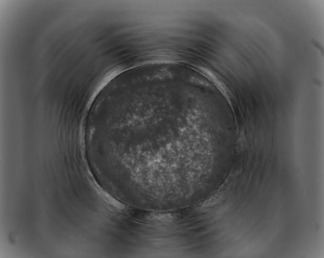 X0000091681243200709131541