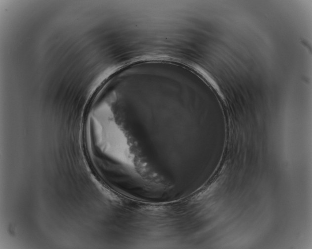 X0000091681245200709131541