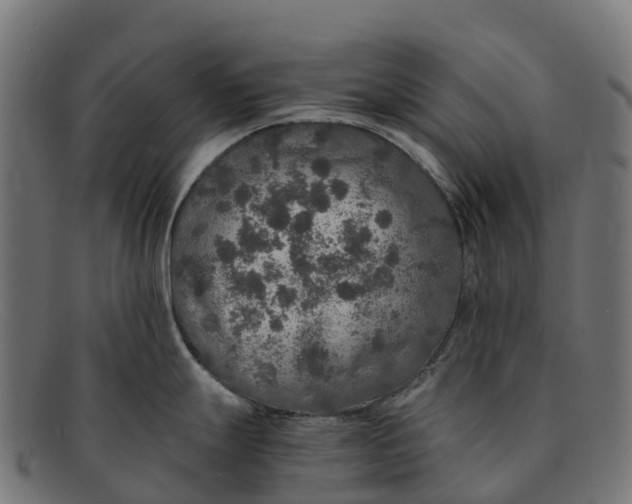 X0000091681247200709131541