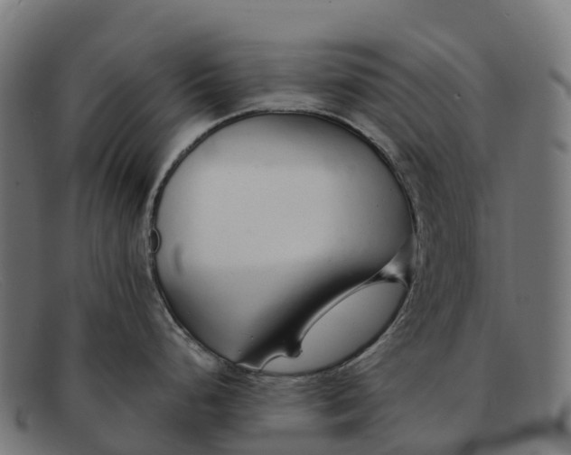 X0000091681248200709131541