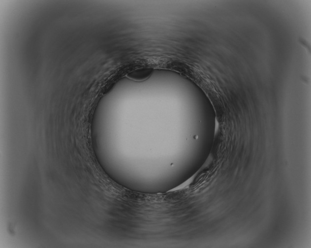 X0000091681249200709131541