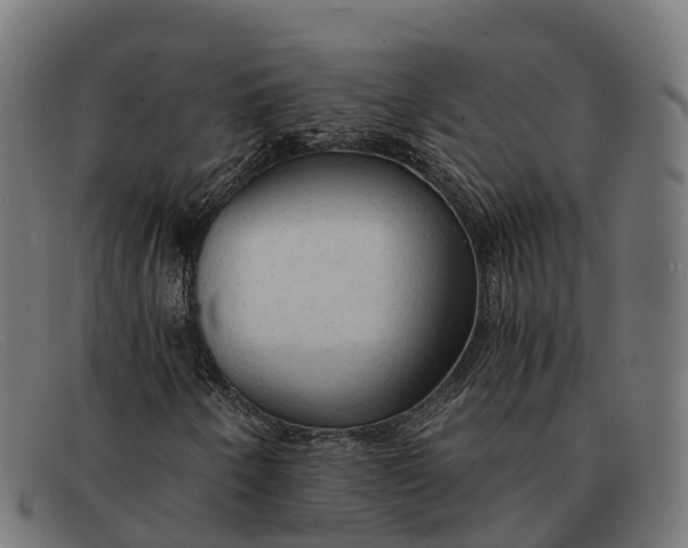 X0000091681250200709131541