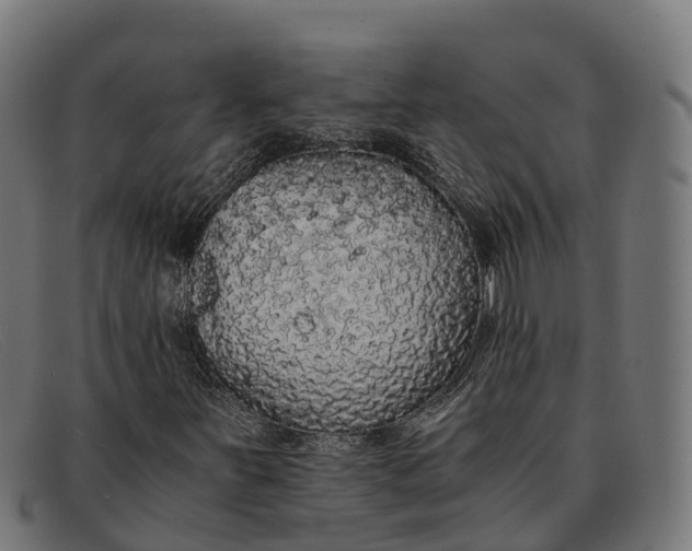 X0000091681251200709131541