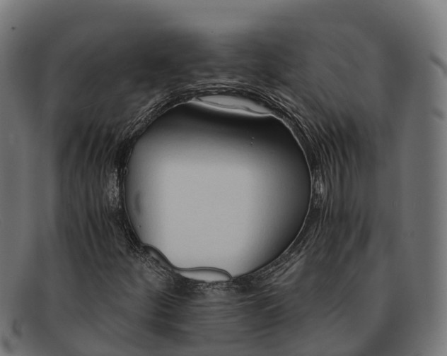 X0000091681252200709131541