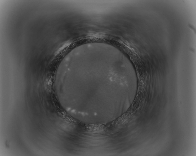 X0000091681254200709131541