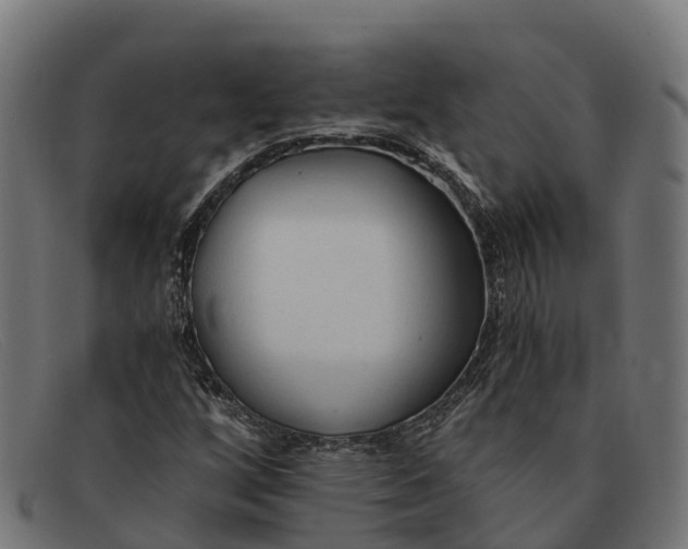 X0000091681256200709131541