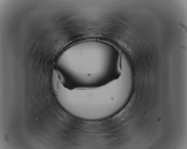 X0000091681257200709131541