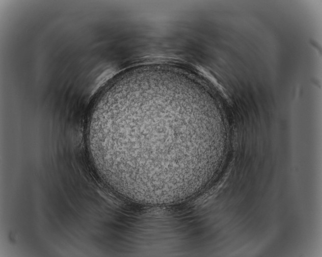 X0000091681259200709131541