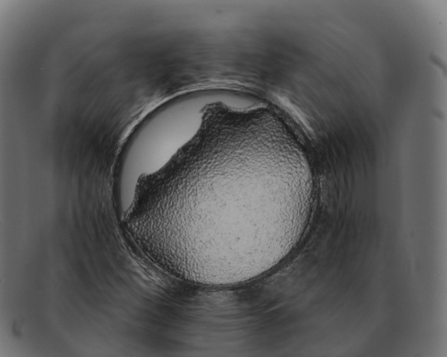 X0000091681260200709131541