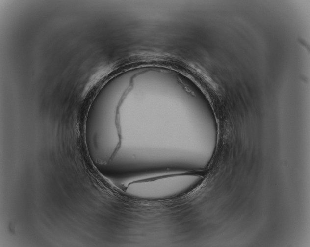 X0000091681261200709131541