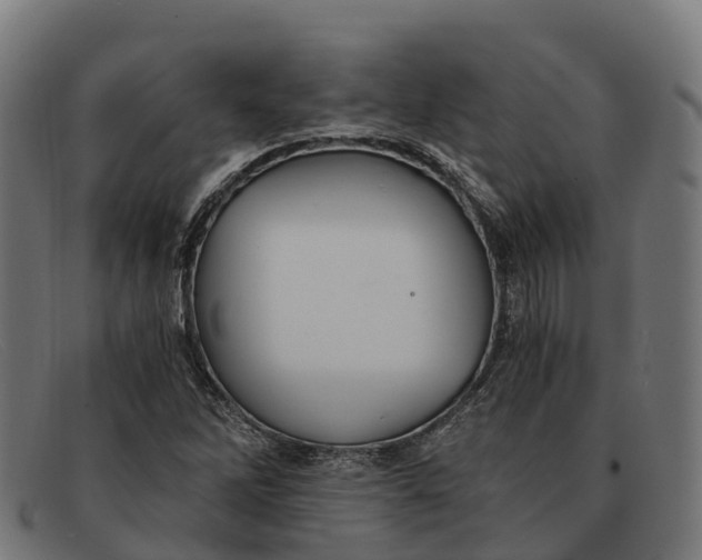 X0000091681262200709131540