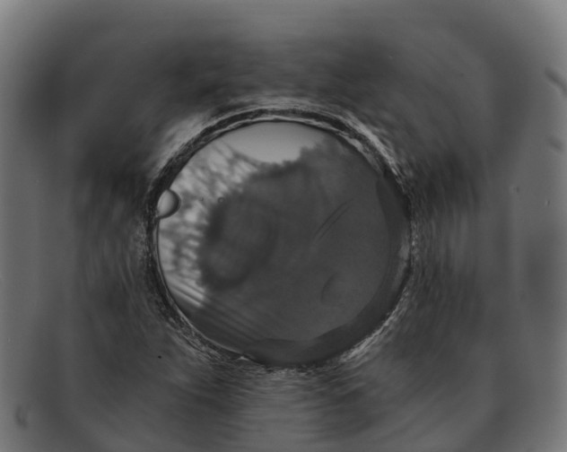 X0000091681263200709131540