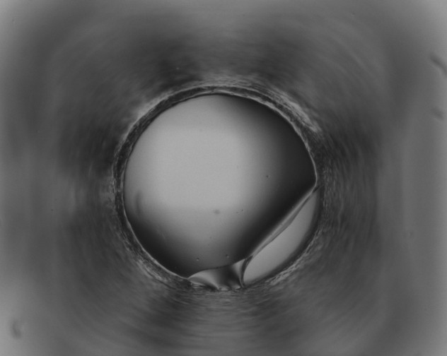 X0000091681264200709131540