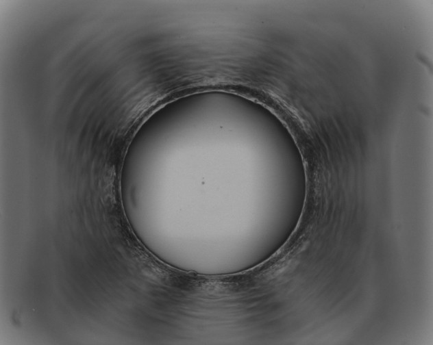 X0000091681265200709131540