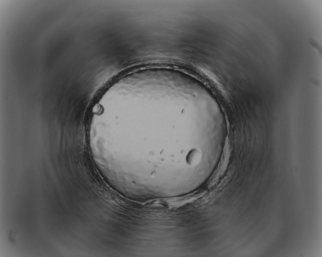 X0000091681267200709131540