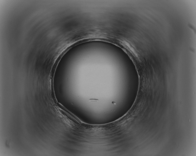 X0000091681268200709131540