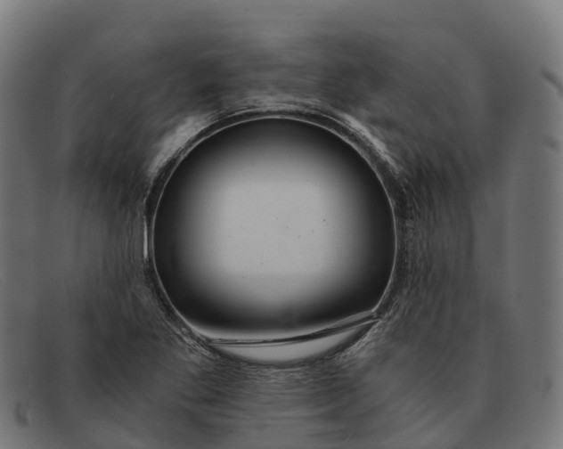 X0000091681269200709131540
