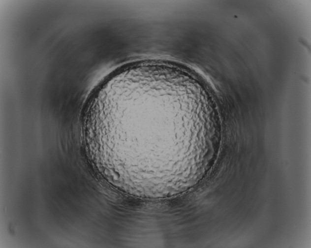 X0000091681271200709131540