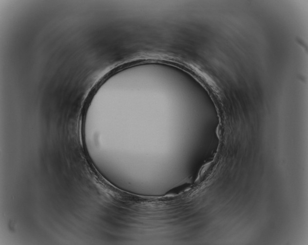 X0000091681272200709131540