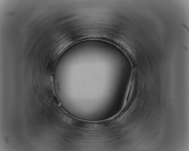 X0000091681273200709131540